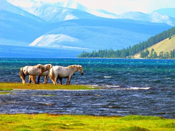 Horse Riding To Tsaatan Shamans